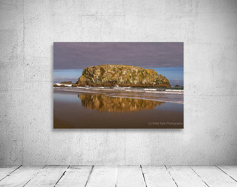 Puffins on the Rock Wall Preview