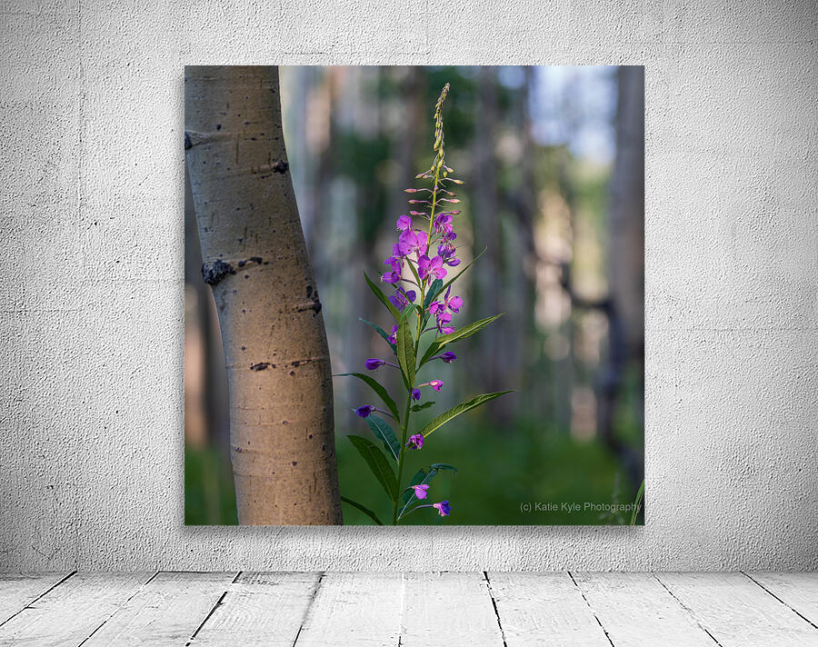Purple flower hanging with the Aspen trees Wall Preview