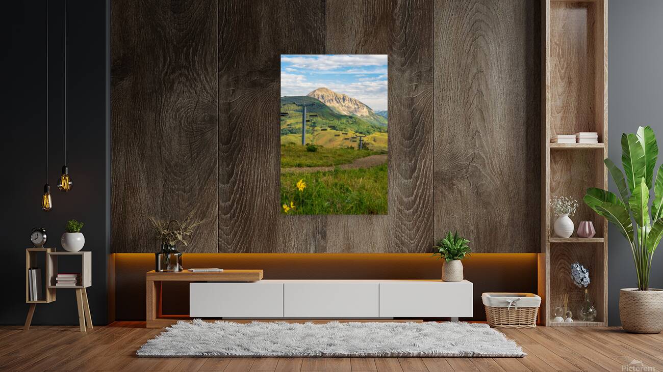 Colorado Ski Lift Sunshine and Sunflowers Reproduction