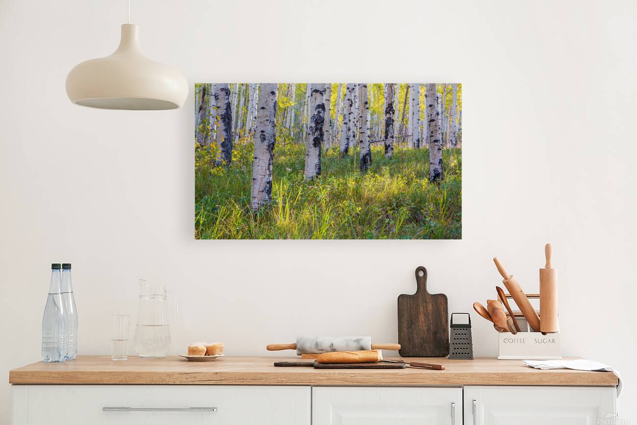 Kenosha Pass Fall is Here Reproduction