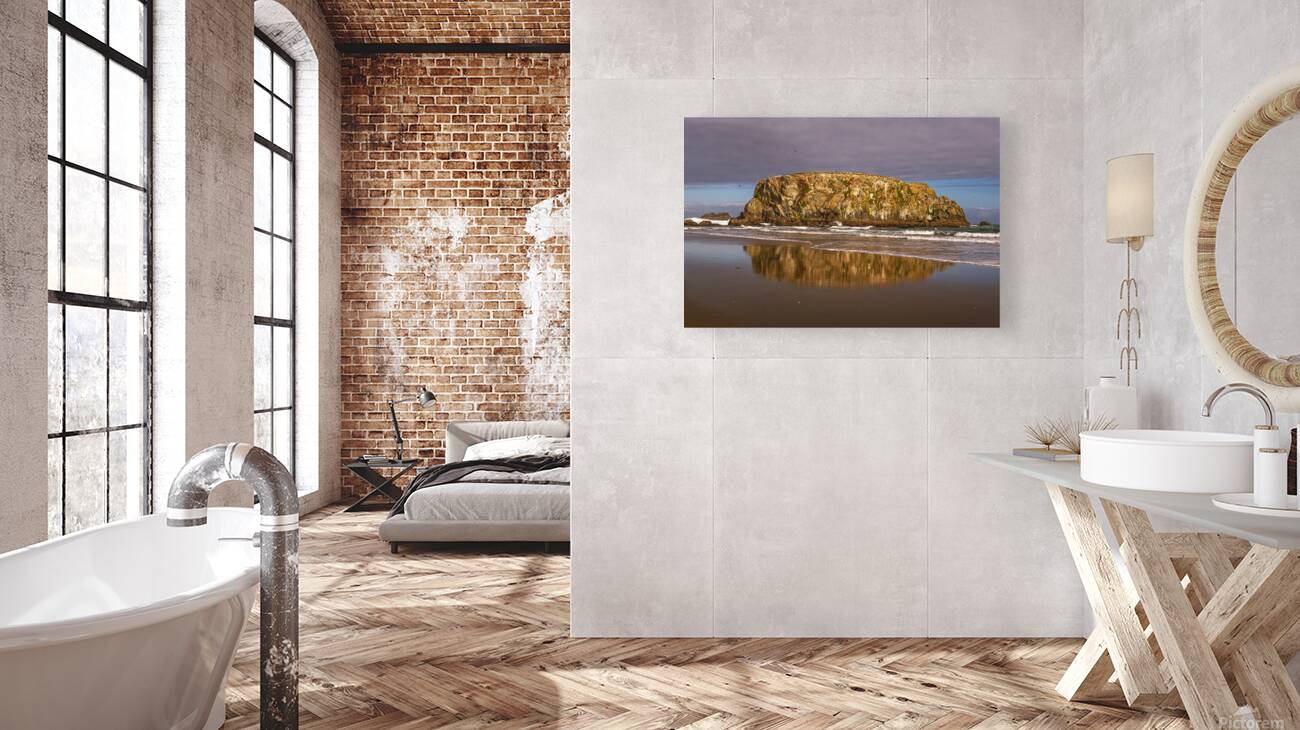 Puffins on the Rock Reproduction