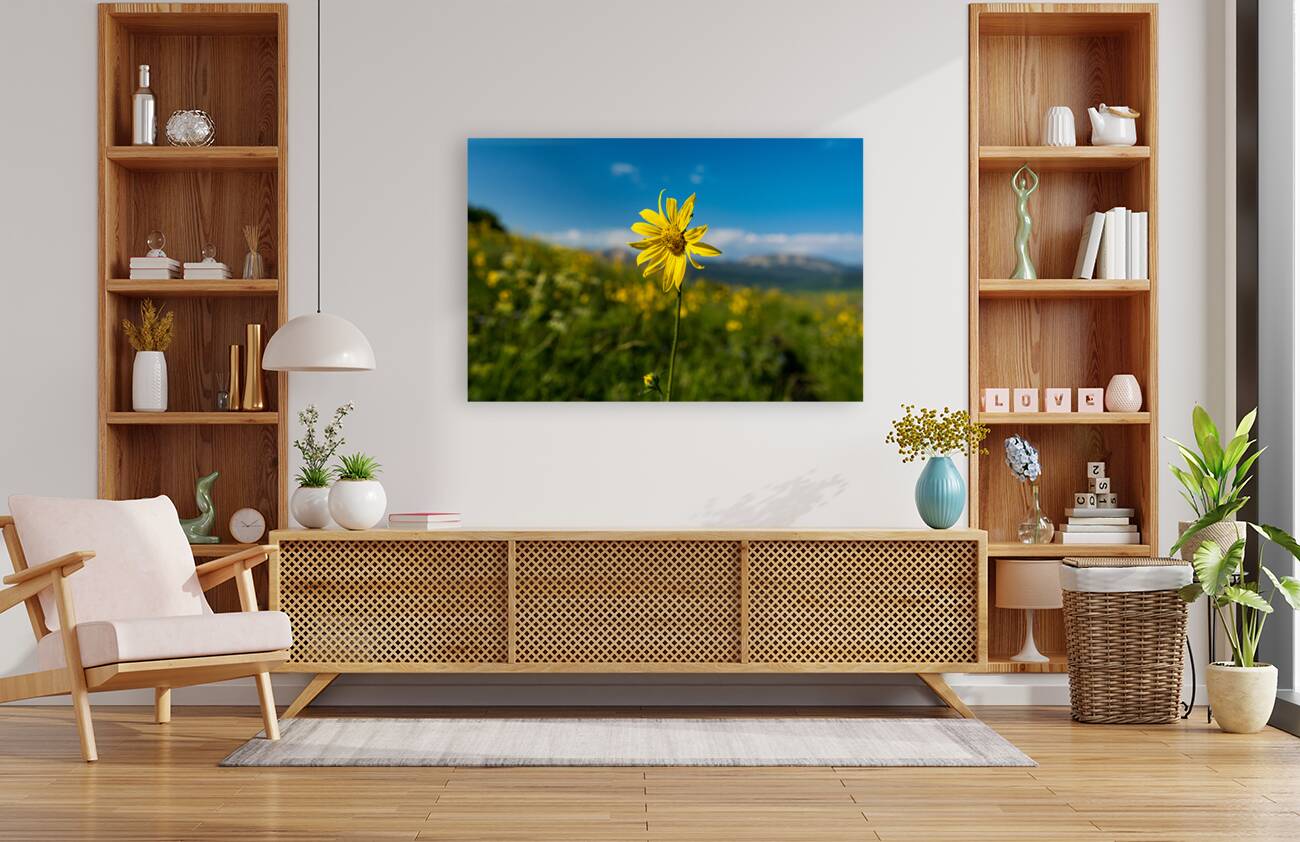 Sunflower overlooking Crested Butte Reproduction