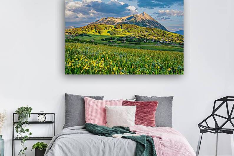 Crested Butte Wildflower Sunset  by Katie Kyle Photography