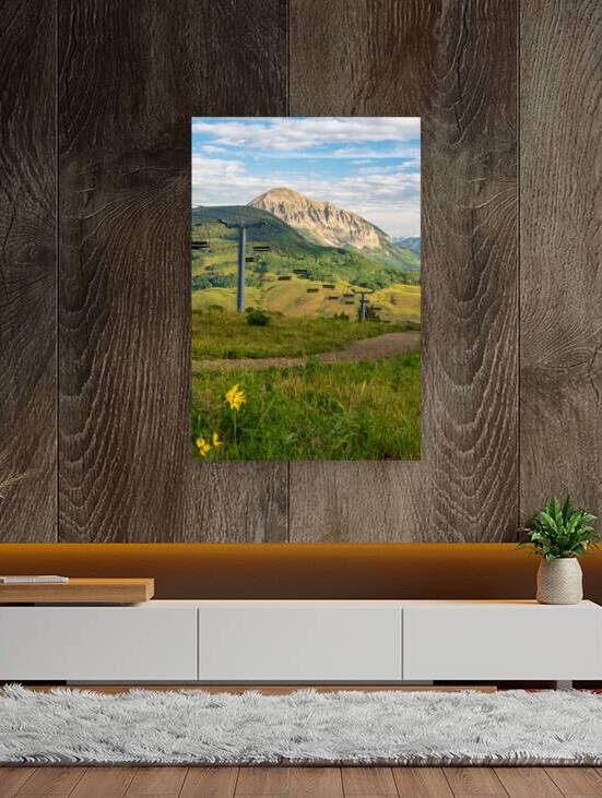 Colorado Ski Lift Sunshine and Sunflowers by Katie Kyle Photography