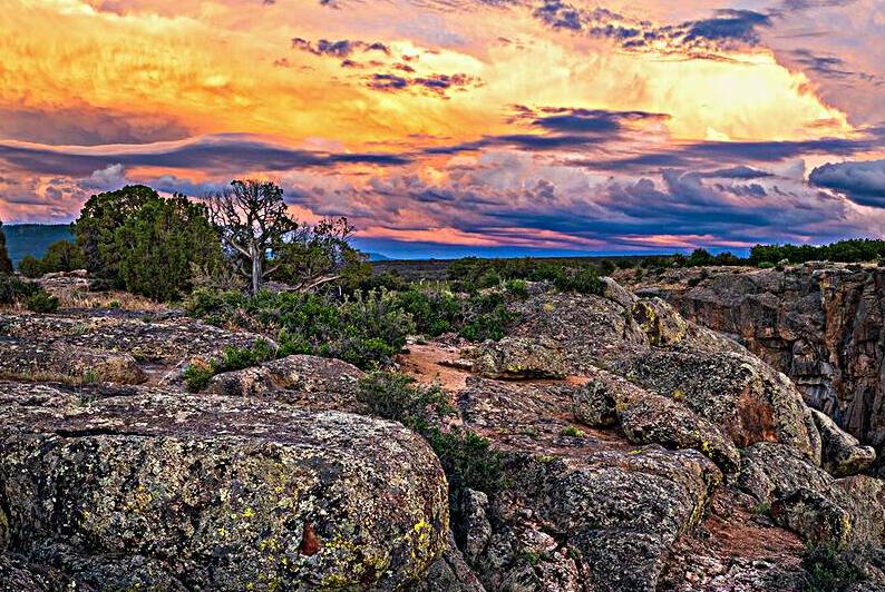 Black Canyon National Forest by Katie Kyle Photography