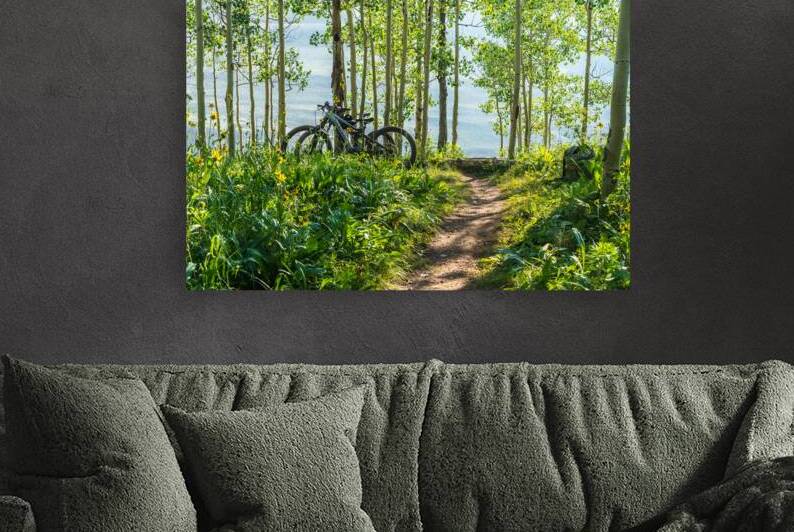 Biking in the Aspens by Katie Kyle Photography