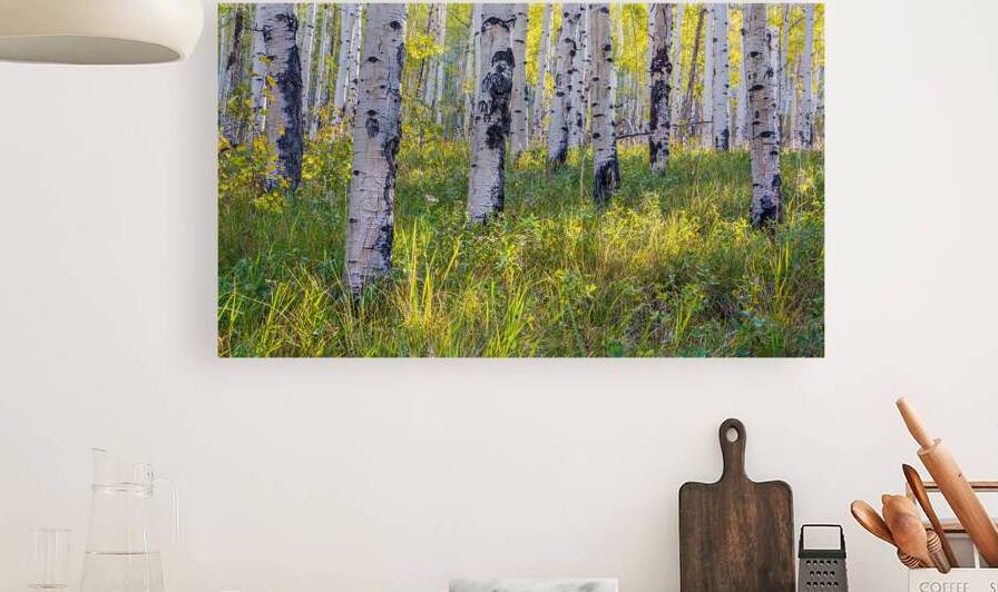 Kenosha Pass Fall is Here by Katie Kyle Photography