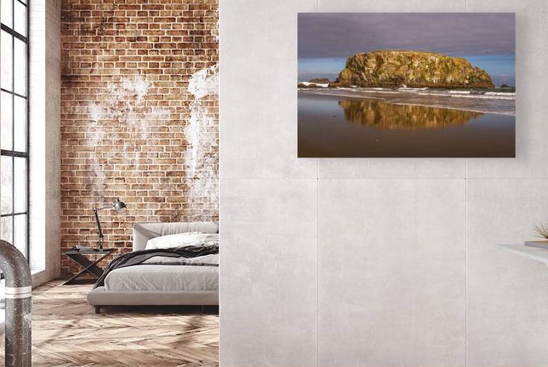 Puffins on the Rock by Katie Kyle Photography