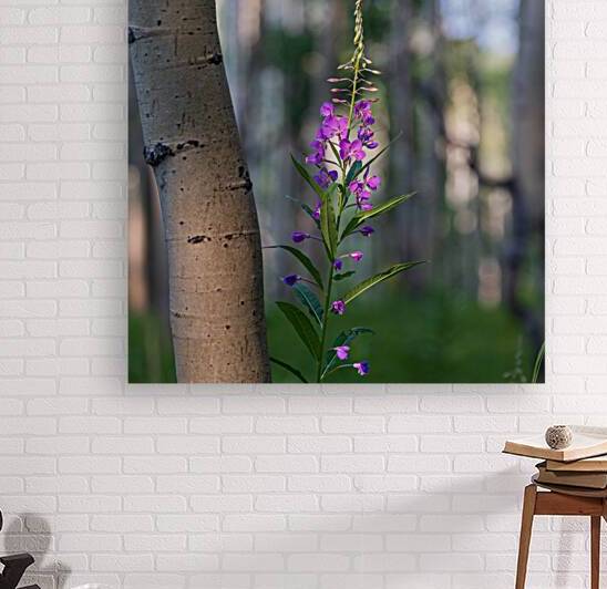 Purple flower hanging with the Aspen trees by Katie Kyle Photography