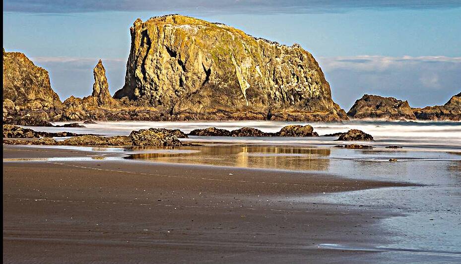 Oregon Puffins on the Rock during Sunrise by Katie Kyle Photography