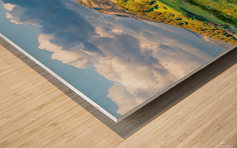 Crested Butte Wildflower Sunset  Wood print