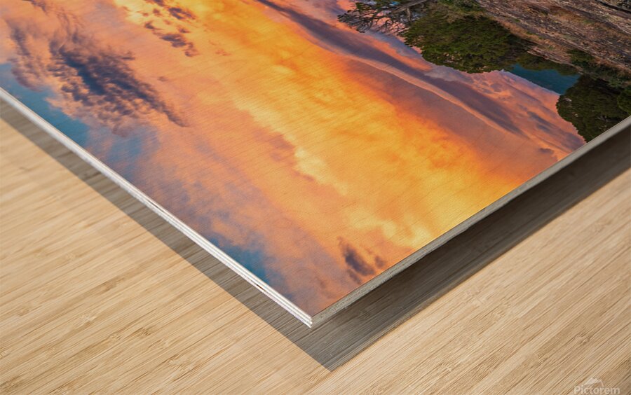 Black Canyon National Forest Wood print