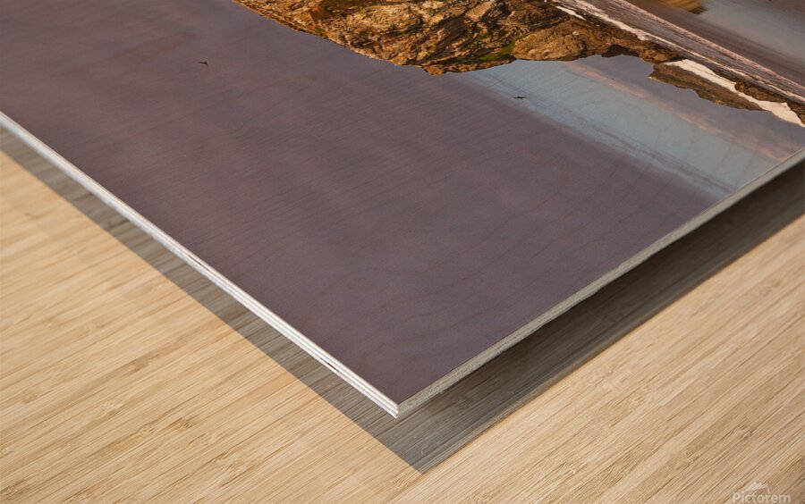 Puffins on the Rock Wood print