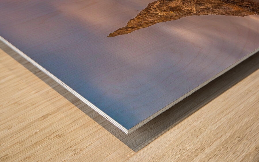 Bandon Beach Oregon Wood print