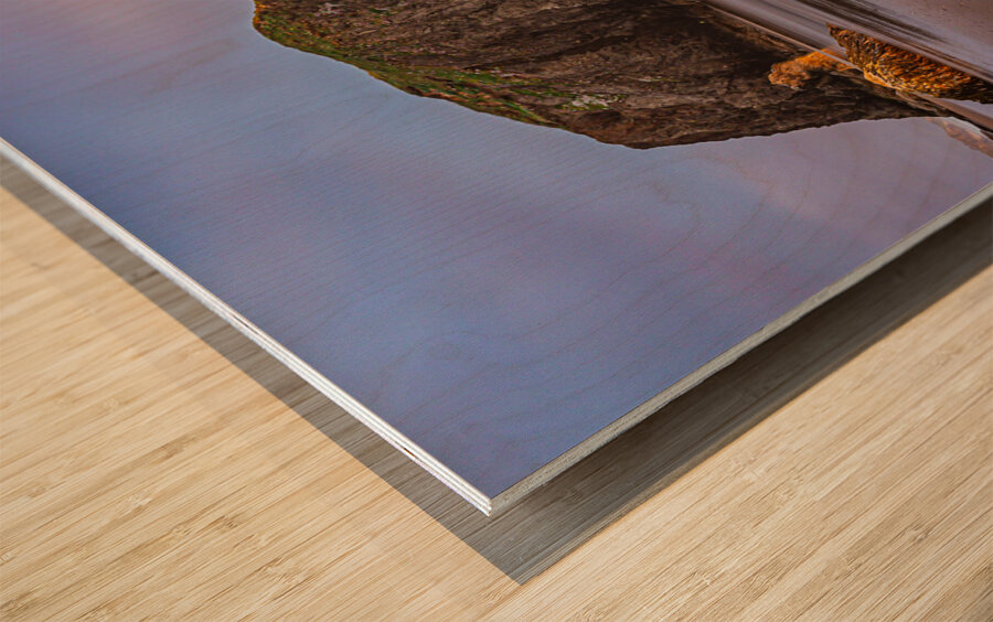 Breathtaking Oregon Coast Wood print