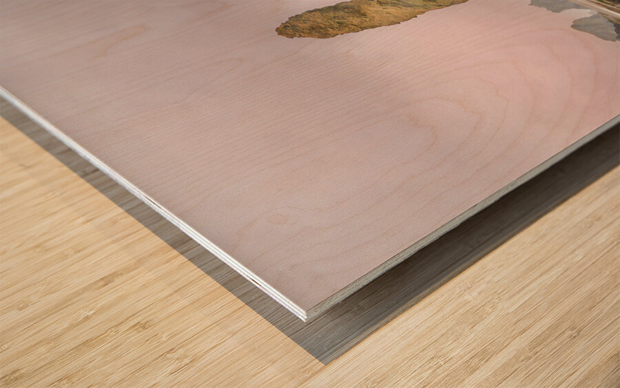 Oregon Beach Rocks Wood print