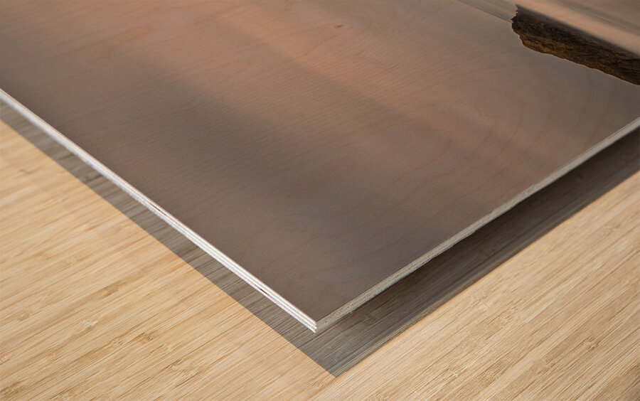 Face Rock Wood print